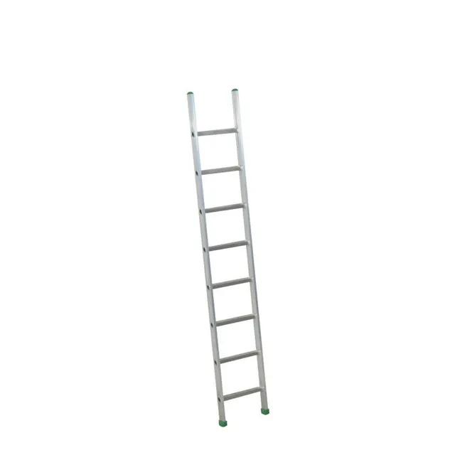 Agosistem Prima S scala da appoggio