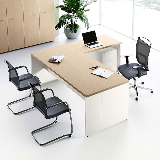 Agosistem Delta scrivania direzionale in legno