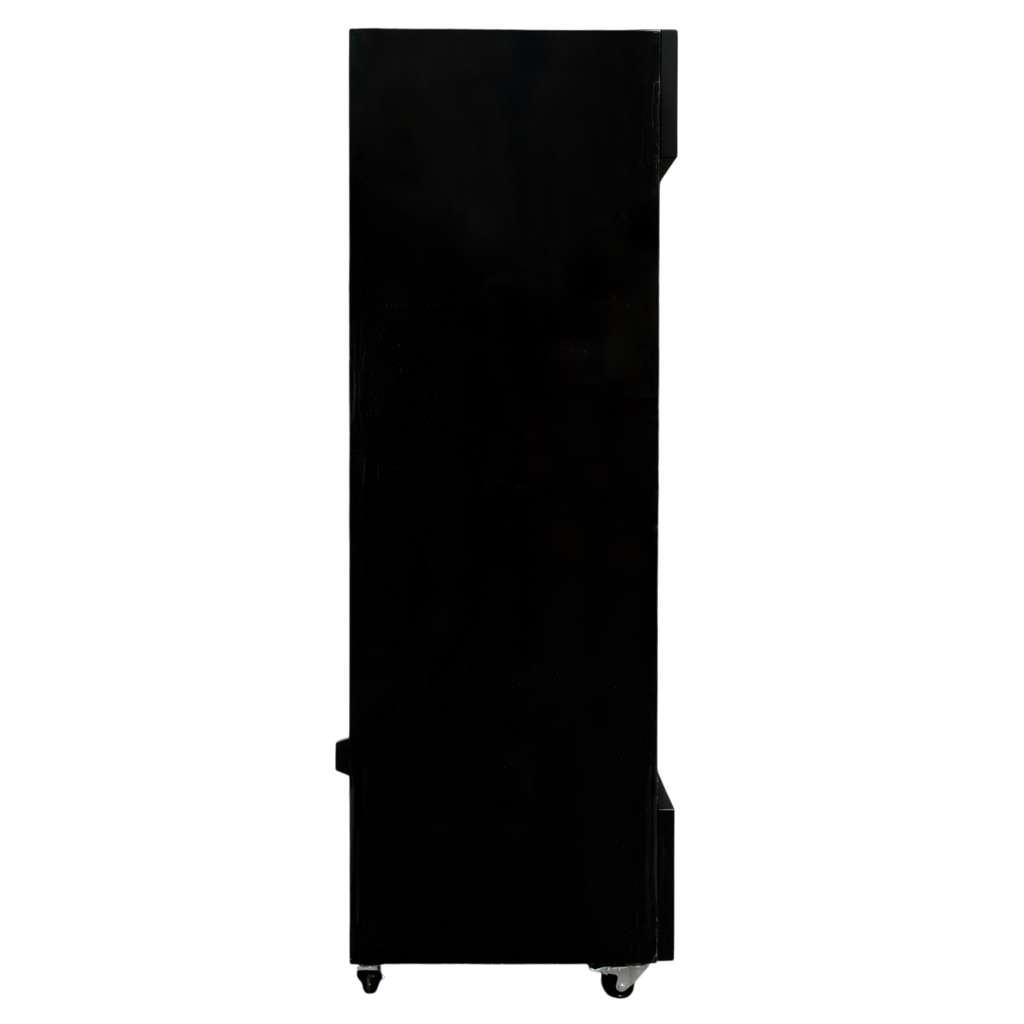 Mega-M Rico 2 i133 vetrina frigo 1048L 2 porte LED