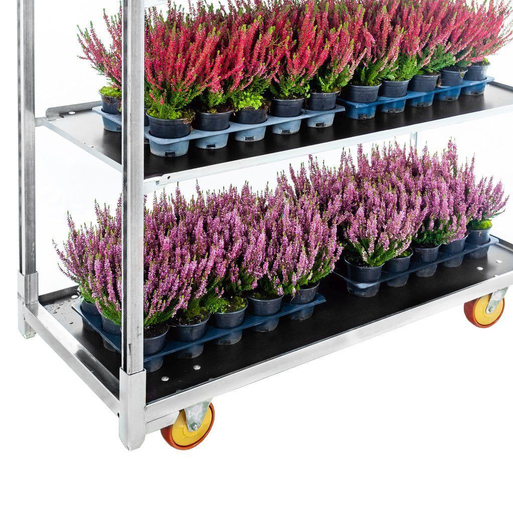 Mega-M carrello danese fiori base+2 ripiani zincato