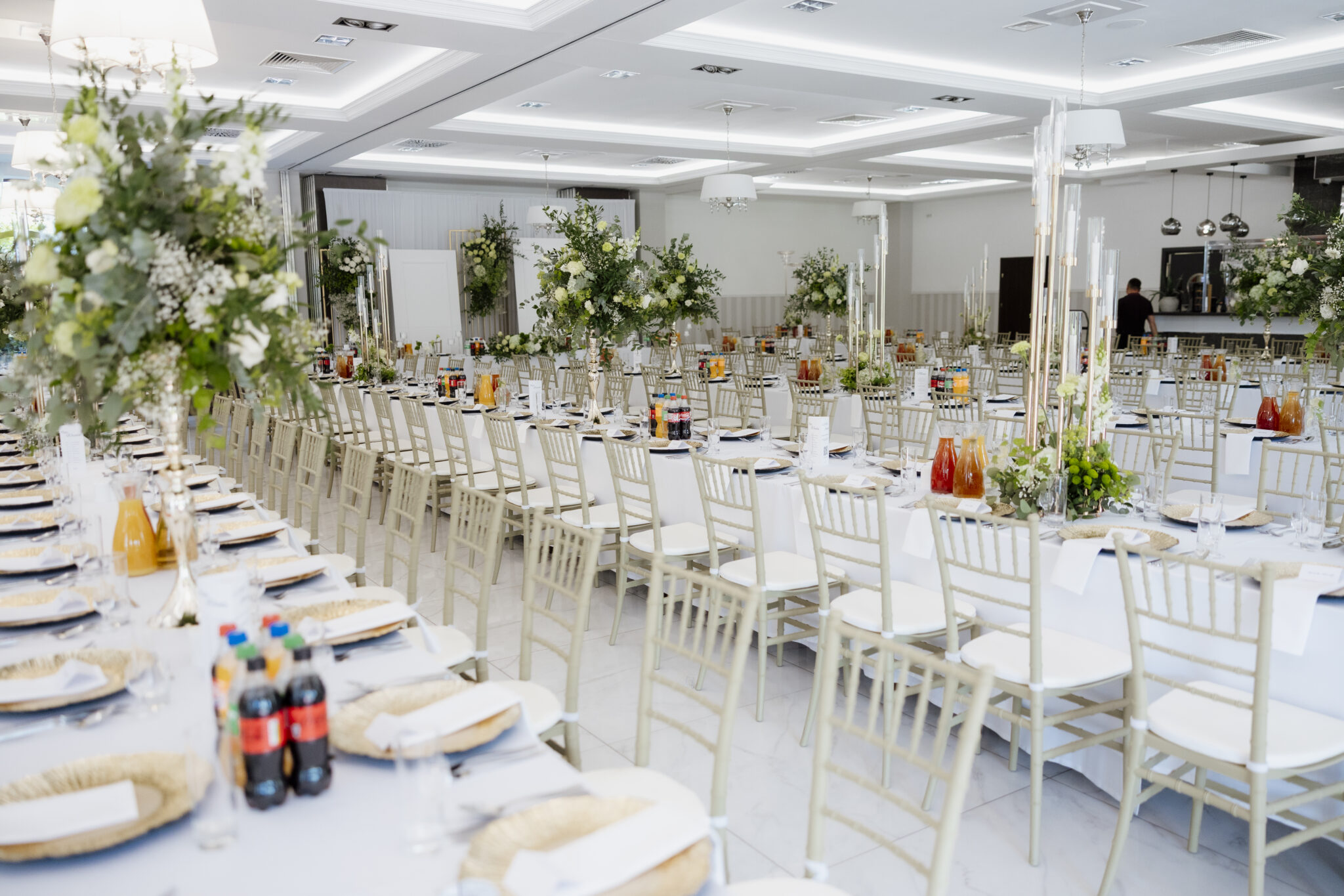 Furvero Chiavari PP sedia banchetto champagne-pistacchio con cuscino
