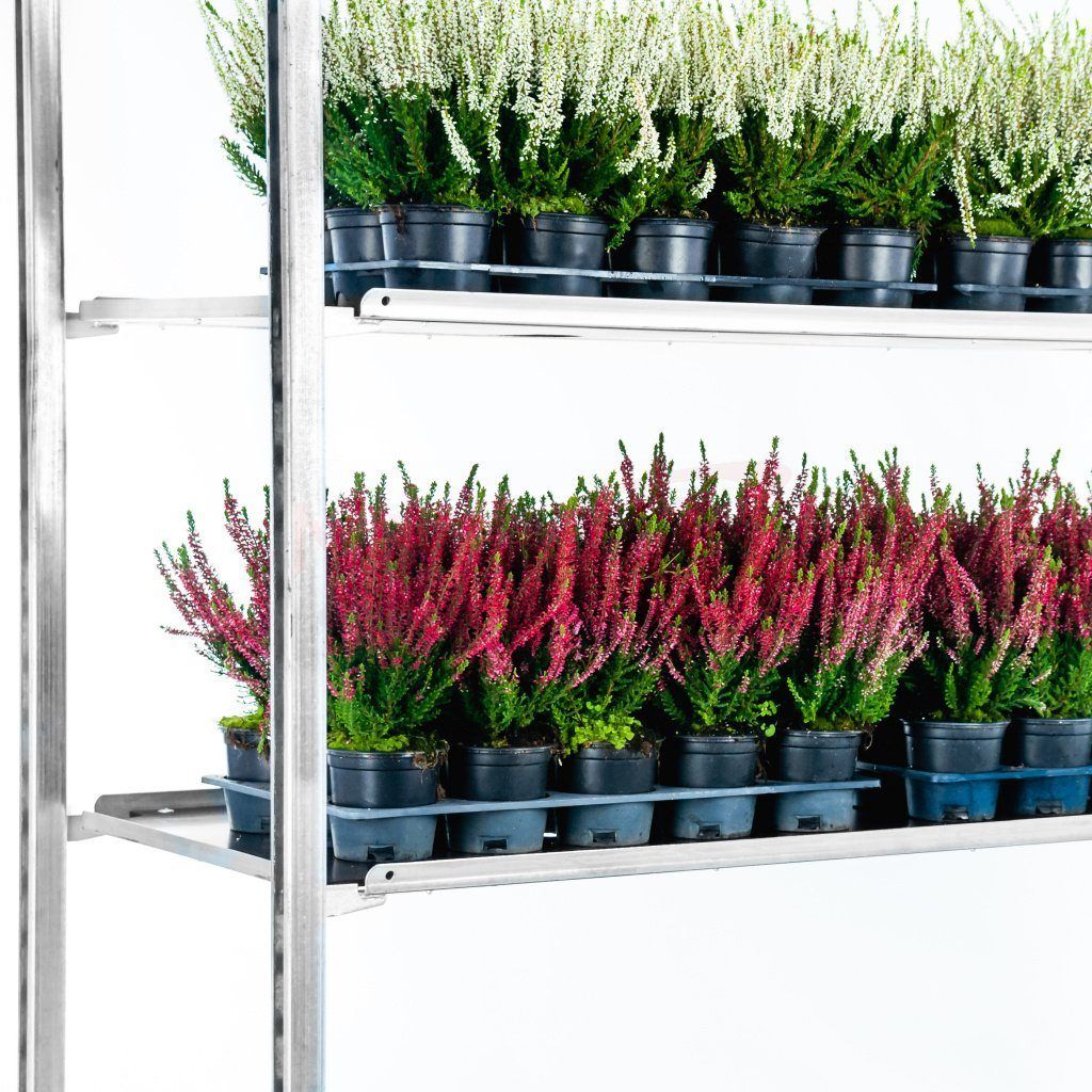 Mega-M carrello danese fiori base+2 ripiani zincato