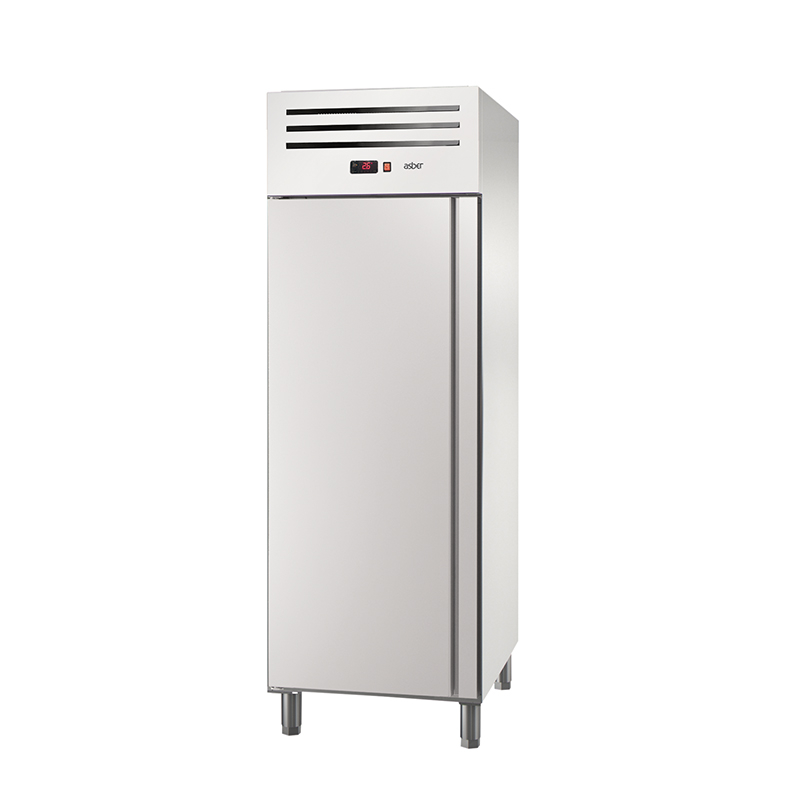 Asber Essenzial Line ECNB-701 HC R congelatore 582 L inox