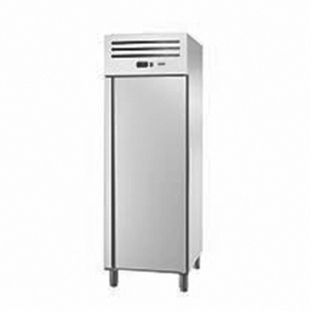 Asber Essenzial Line ECN-701 HC R armadio congelatore 596 L
