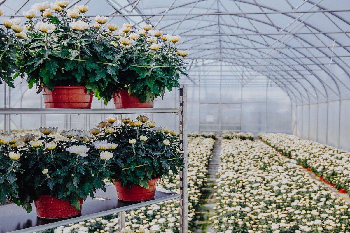 Mega-M base+3 ripiani carrello danese fiori zincato
