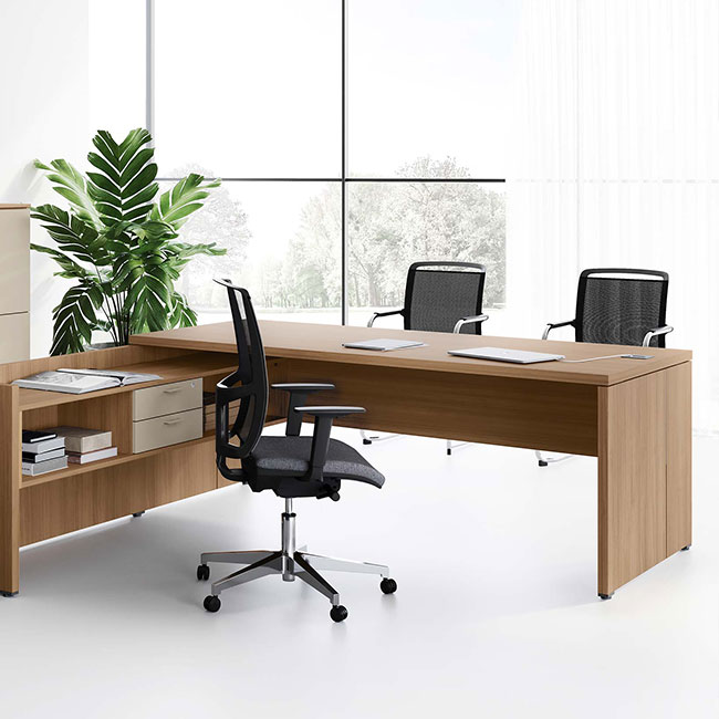 Agosistem Delta scrivania direzionale in legno