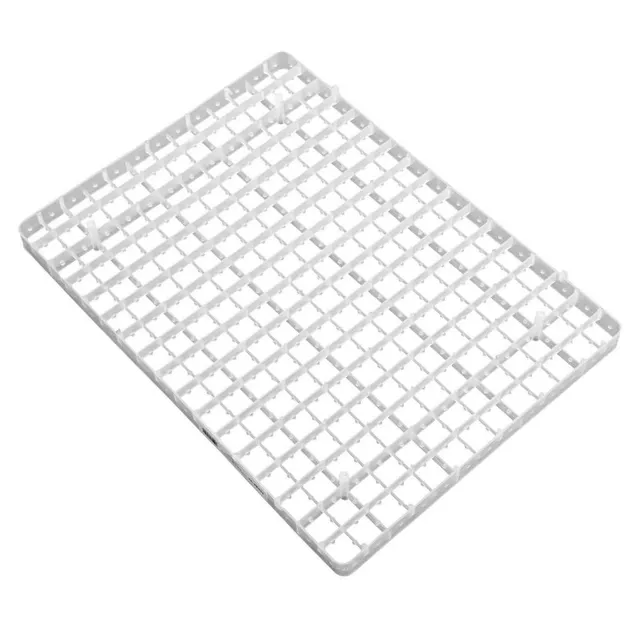 Mega-M Vassoio Incubatrice Uova Quaglia 221 Posti 50x36