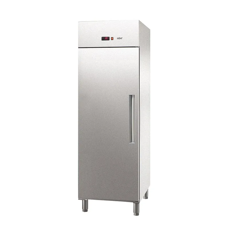 Asber Essenzial Line ECP-G-701 HC R armadio frigorifero 596 L