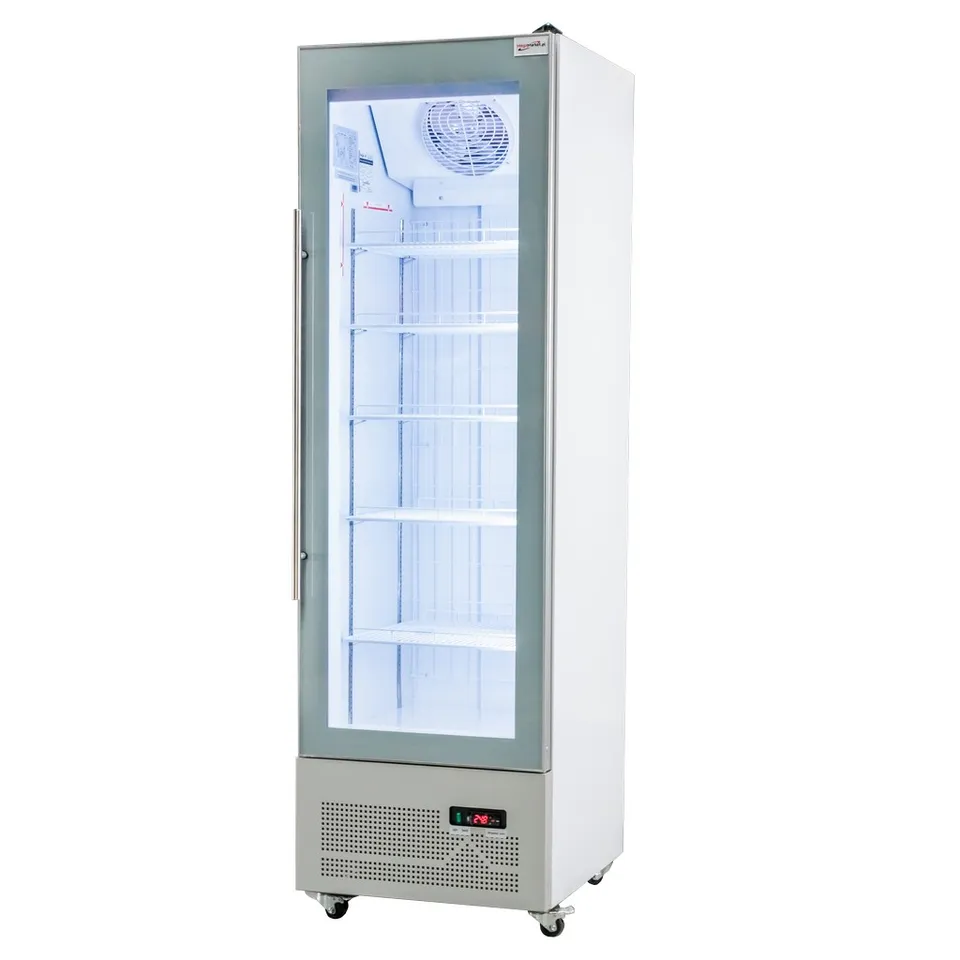 Vetrina congelatore Mega-M Exclusive Olaf R62 bianca