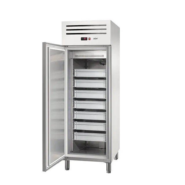 ASBER Essenzial ECF-601 HC R armadio frigo pesce 582 L