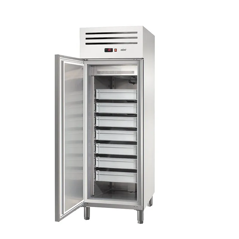 Asber Essenzial Line ECF-601 HC L frigo pesce inox 582 L