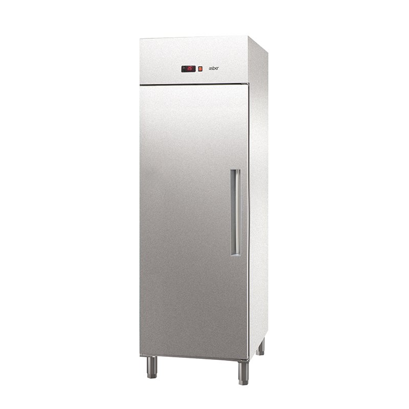 Asber Essenzial Line ECP-G-701 HC R armadio frigorifero 596 L