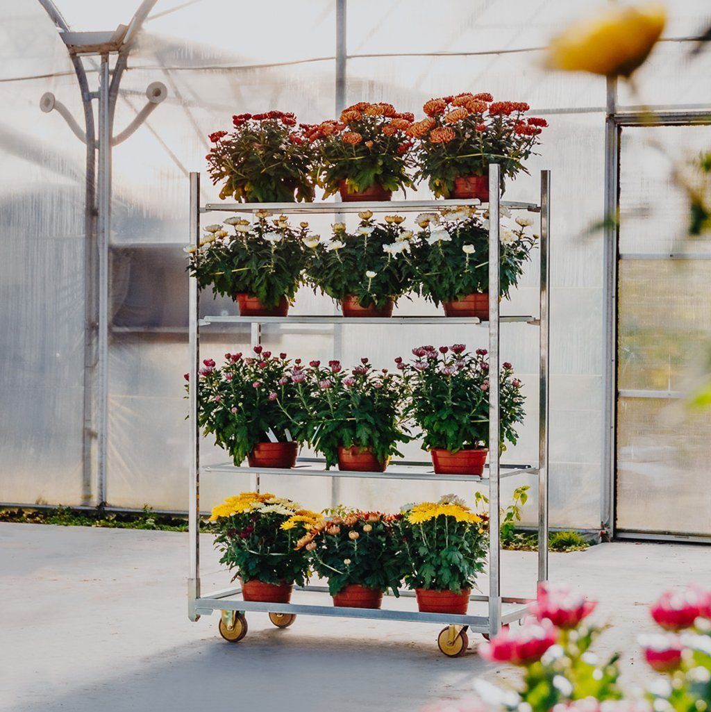 Mega-M base+3 ripiani carrello danese fiori zincato