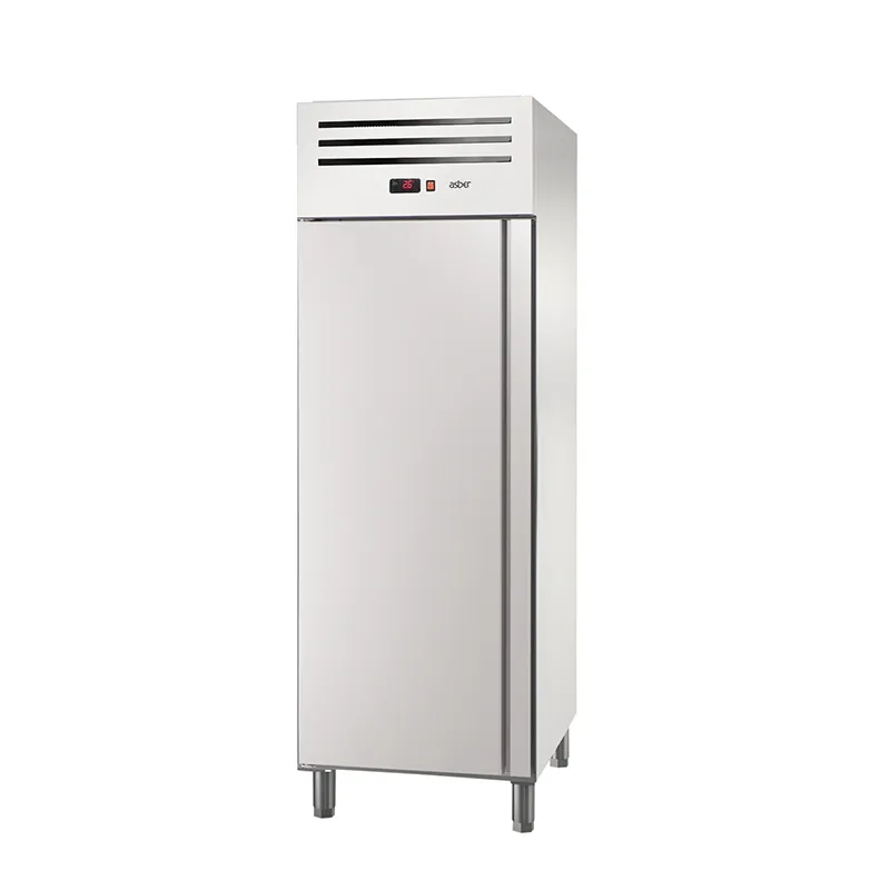 Asber Essenzial Line ECNB-701 HC R congelatore 582 L inox