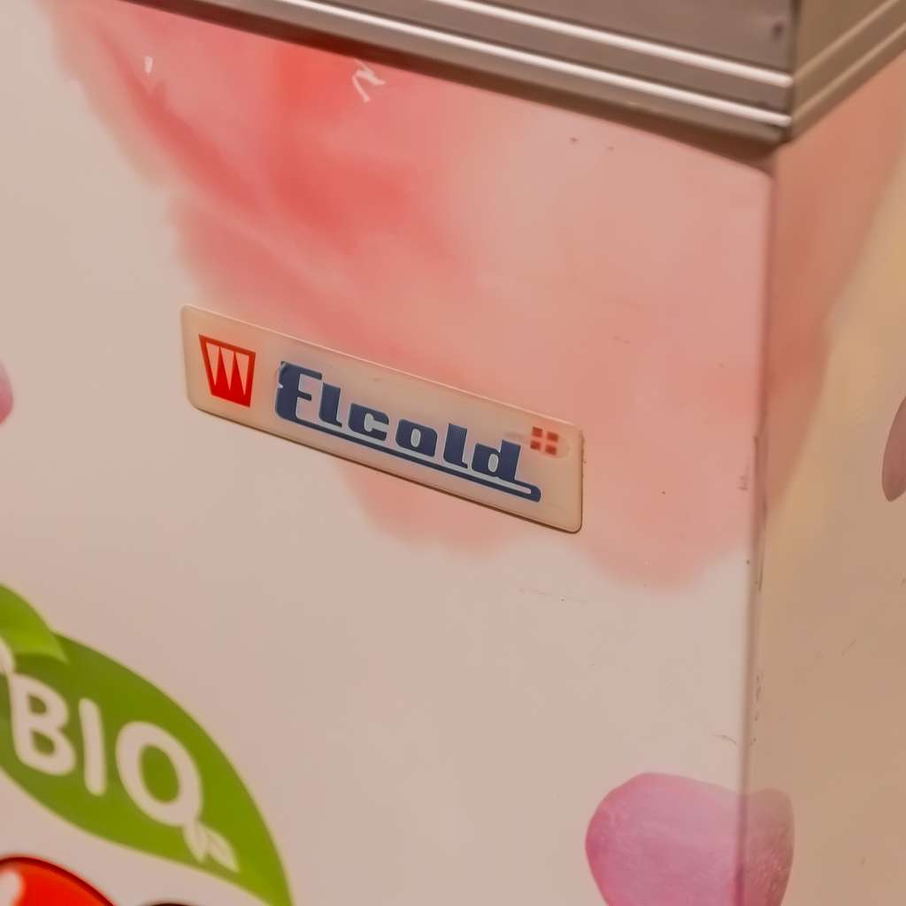ELCOLD UNI 11 S congelatore pozzetto vetro 73x66 cm