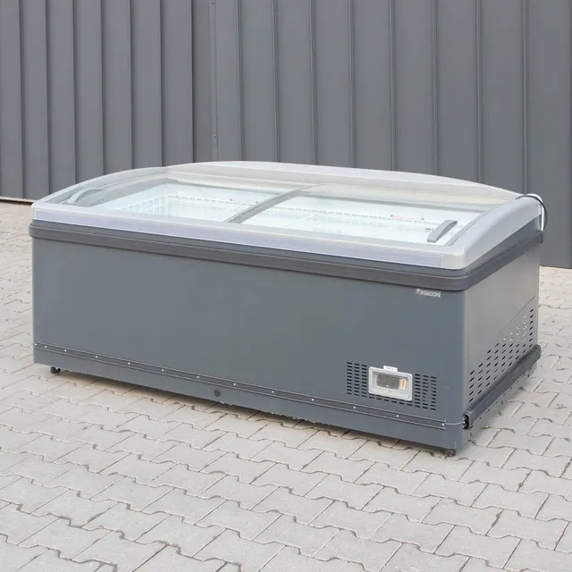 Fricon 194 SLB congelatore a pozzetto vetro 473L