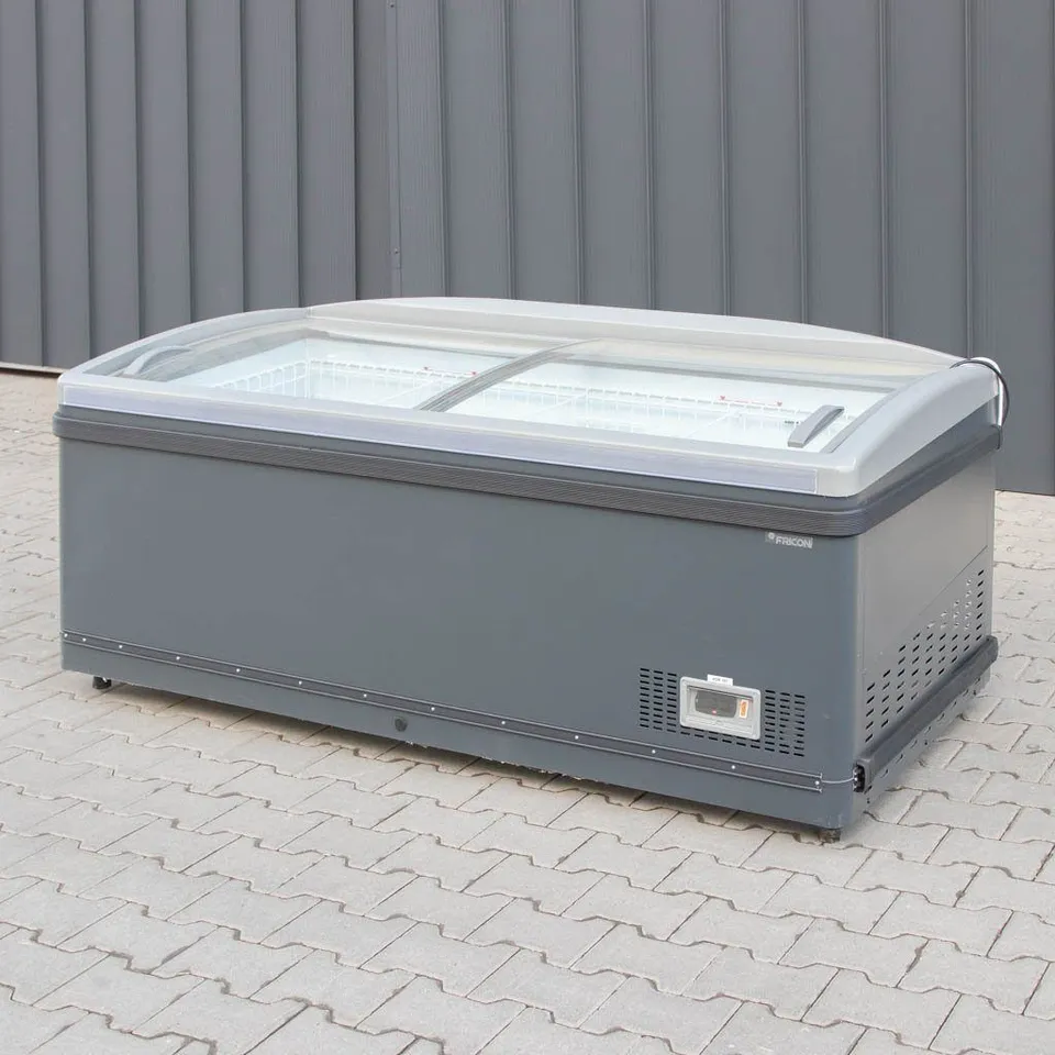 Fricon 194 SLB congelatore a pozzetto vetro 473L